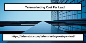 Telemarketing Cost Per Lead