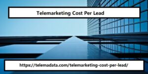 Telemarketing Cost Per Lead