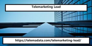 Telemarketing Lead